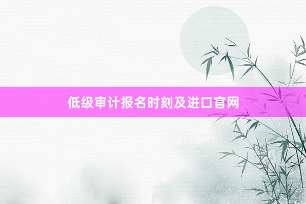 低级审计报名时刻及进口官网