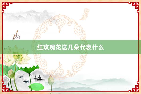 红玫瑰花送几朵代表什么